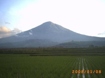 Gunung Cikuray dan Sawah yang subur - Kekayaan Alam Indonesia